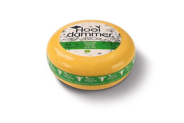 Gouda Mild