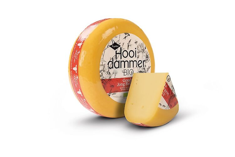 Gouda Jong Belegen