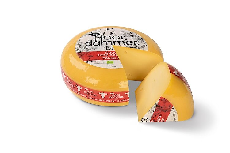 Gouda Jong Belegen